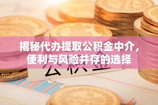 葵青揭秘代办提取公积金中介，便利与风险并存的选择