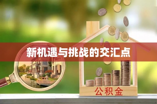 葵青新机遇与挑战的交汇点