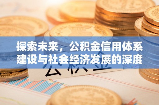 葵青探索未来，公积金信用体系建设与社会经济发展的深度融合