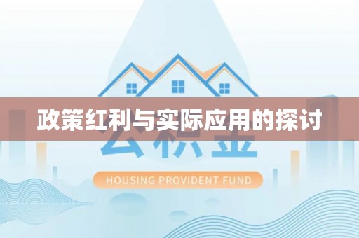 葵青政策红利与实际应用的探讨