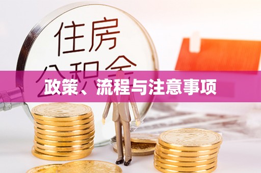 葵青政策、流程与注意事项