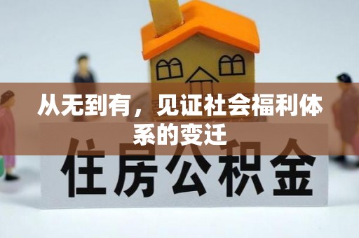 葵青从无到有，见证社会福利体系的变迁