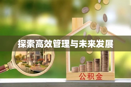 葵青探索高效管理与未来发展