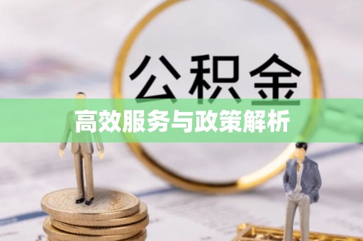 葵青高效服务与政策解析