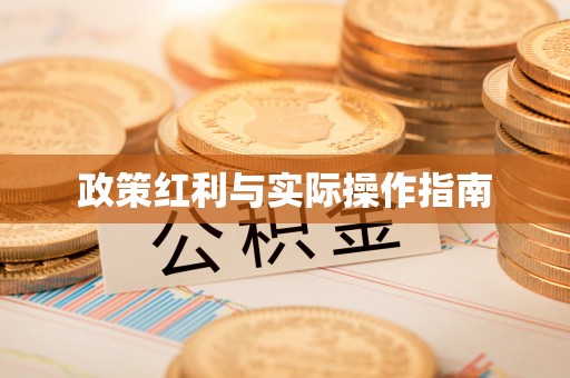 葵青政策红利与实际操作指南