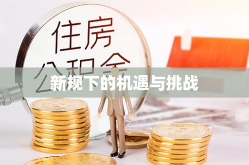 葵青新规下的机遇与挑战