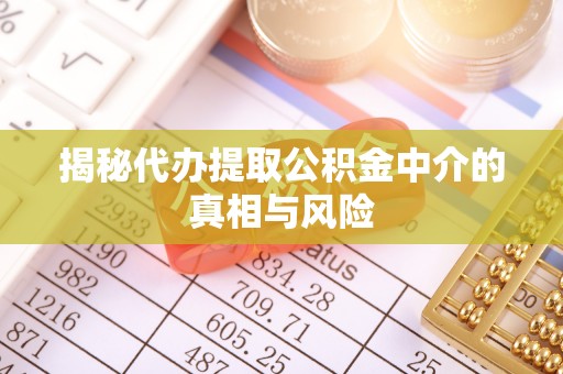 葵青揭秘代办提取公积金中介的真相与风险