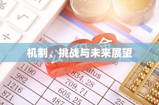 葵青机制、挑战与未来展望