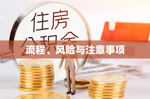 葵青流程、风险与注意事项