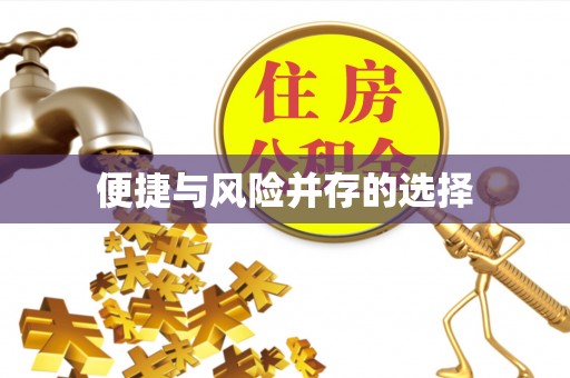 葵青便捷与风险并存的选择